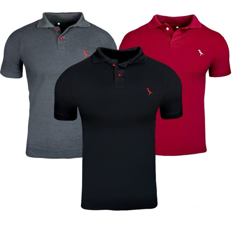 Kit 3 Camisas Polo Masculina Original Gola Alta 100% Algodão Piquet Ducam!