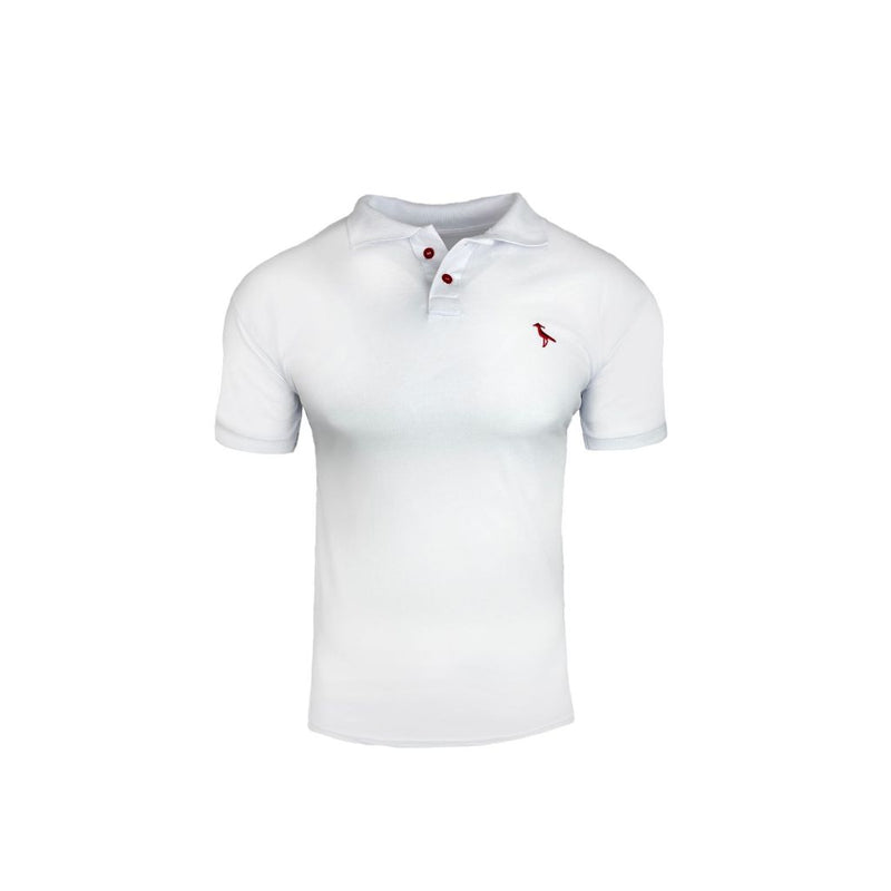 Kit 3 Camisas Polo Masculina Original Gola Alta 100% Algodão Piquet Ducam!